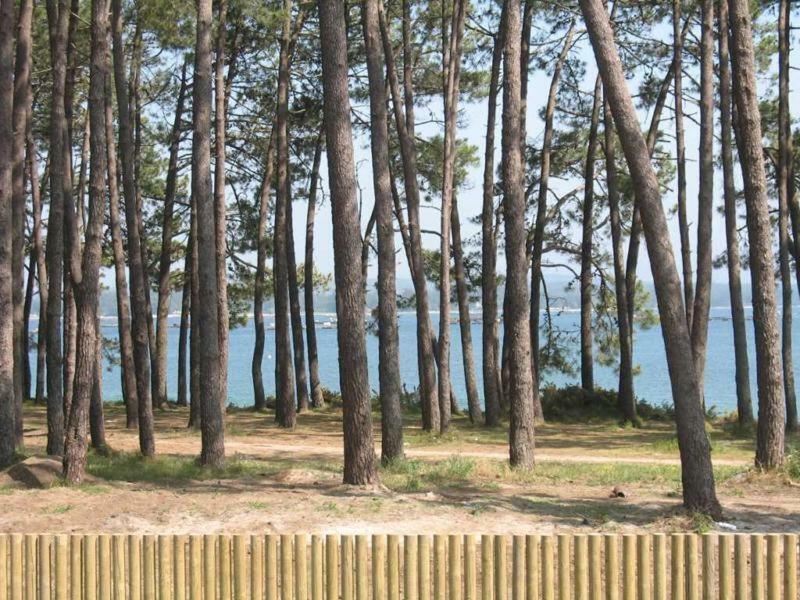 Excelente Apartamento En La Isla De Arosa Διαμέρισμα Εξωτερικό φωτογραφία
